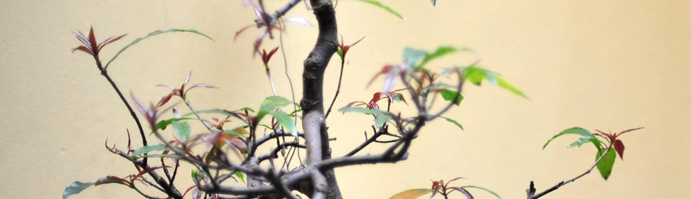 Actions to Create a Great HR Department